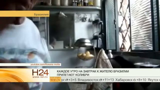 Мужчина проводит завтрак с колибри