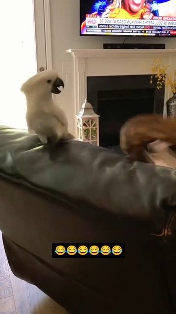 1000075890.mp4