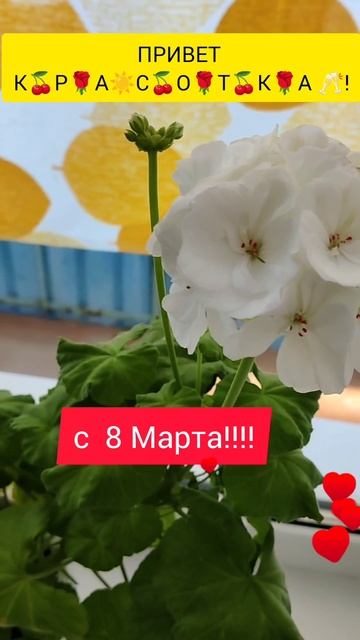 всех девочек с праздником весны