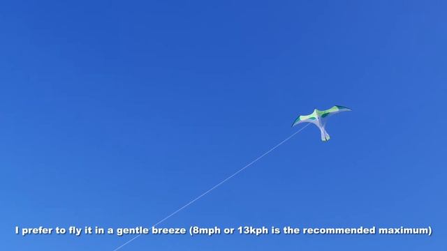 Lovely "Laima" ultra-light-wind kite