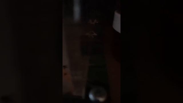 Показал вопрос муравьев