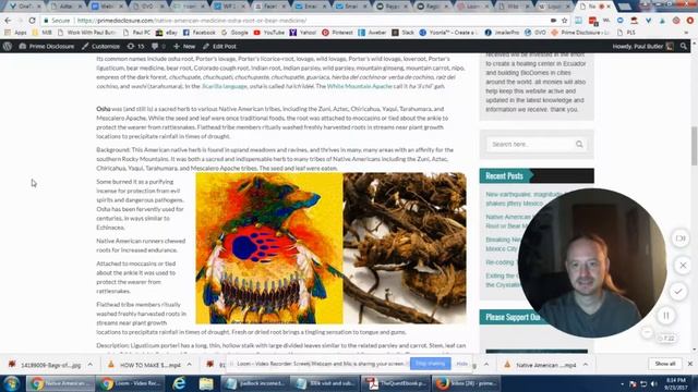 Bear Medicine Powerful Native American Medicinal Herb