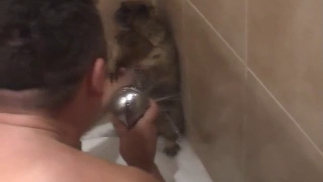 Мойдодыр для Тимона.