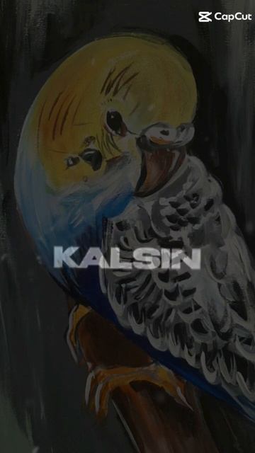 bana düşlerimi geri ver ~BULUT~
