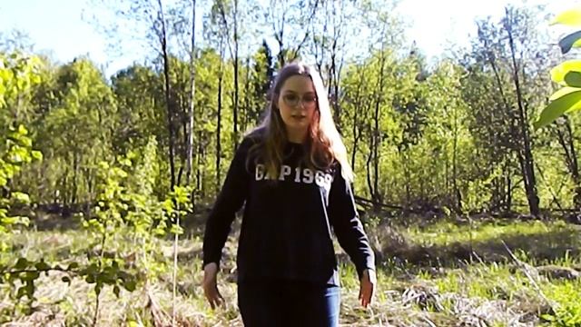 лес, лягушки и насильники -  запись6