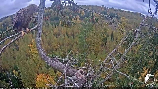 БРАТЬЯ Ш