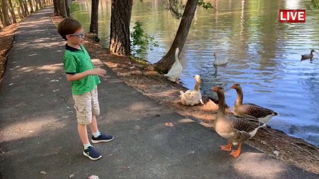 Kid trip to Ben Hill Strickland Sr Memorial Park. Hiram Georgia