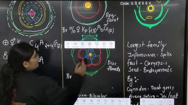 new added family in ncert | malvaceae | Poaceae | asteraceae | neet mentor | neet 2024 | live class