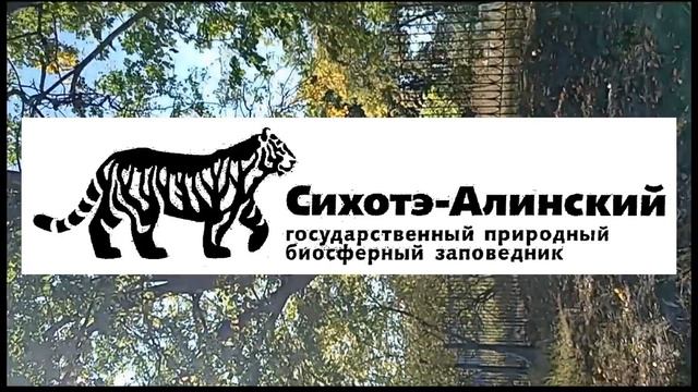 Рго "Мир открытий" ВДЦ Океан 2025