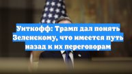 Уиткофф: Трамп дал понять Зеленскому, что имеется путь назад к их переговорам