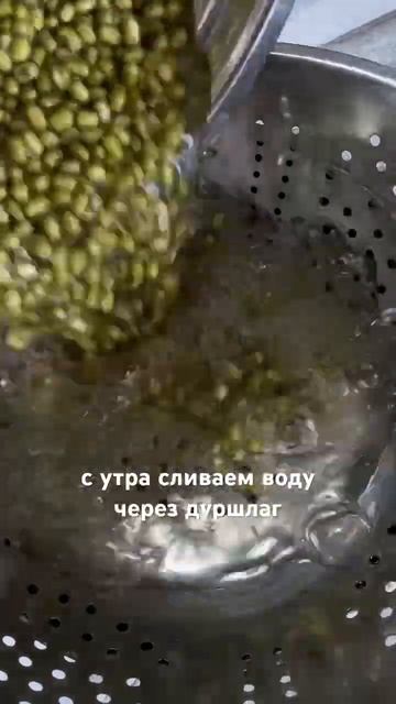 ПРОРАЩИВАЕМ МИКРОЗЕЛЕНЬ без марлечек и покупных наборов для проращивания)