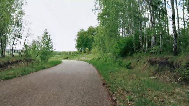 Дорога на Чистые пруды и обратно 22.05.2022 (4к)