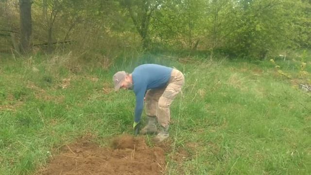 целина, создание тёплой грядки