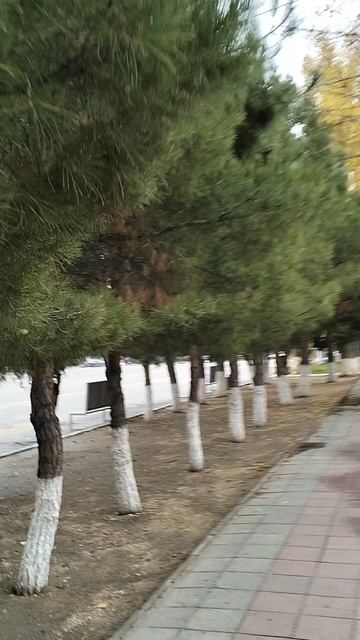 Первый день в Каспийске