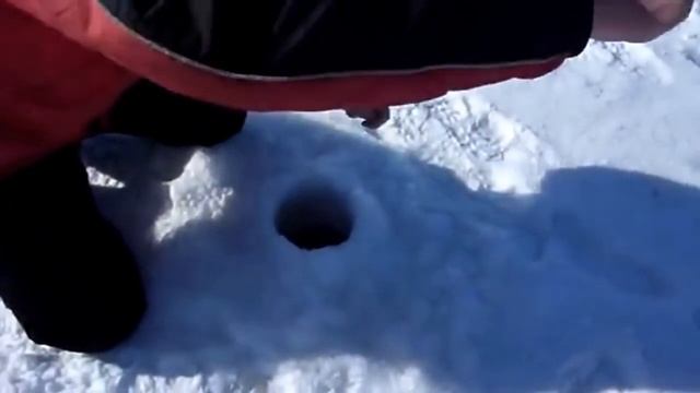 Налим 4500 зимняя рыбалка в Карелии  Fishing for Burbot in Karelia