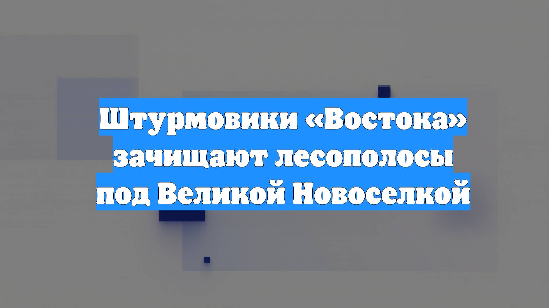 Штурмовики «Востока» зачищают лесополосы под Великой Новоселкой