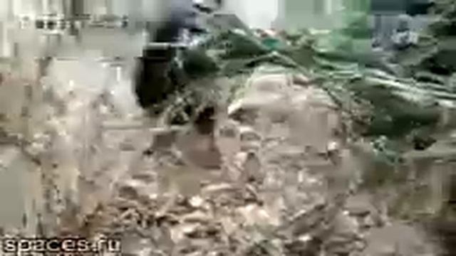 Uzhasajuschee chastnoe video cunami v Ju