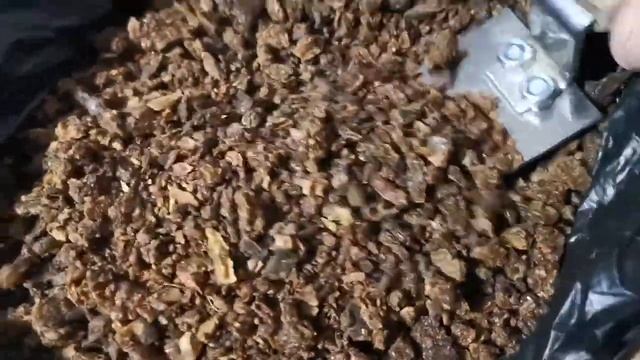 Прополис Пенза в Тюмени