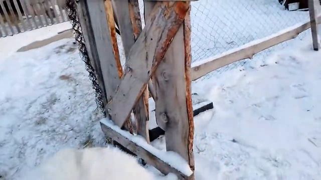 10.12.22 колодец работает, слава Богу