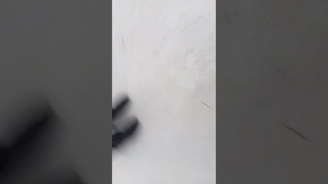 схватка 2 горилл