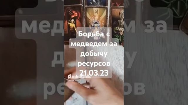 Видео WhatsApp 2025-03-08 в 09.36.18_31c497d3