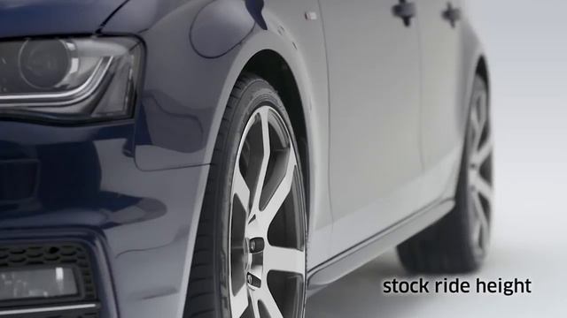 Eibach Pro-Kit Performance Springs