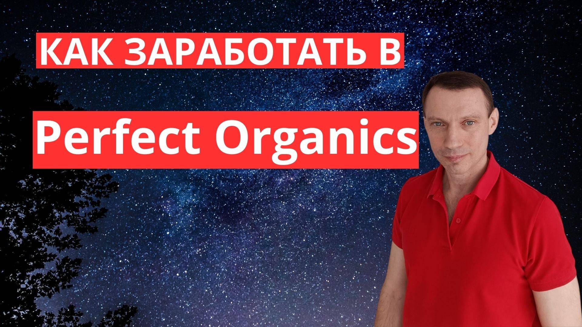 Как заработать в Perfect Organics 2025 год