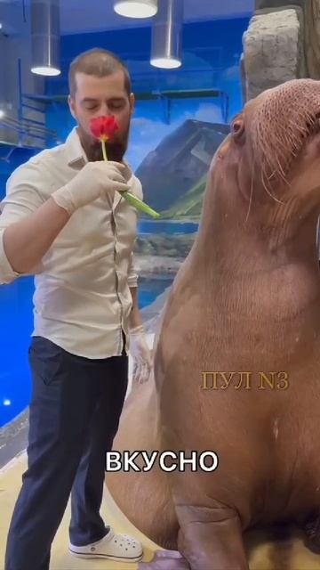 Поздравление с 8 Марта 💐