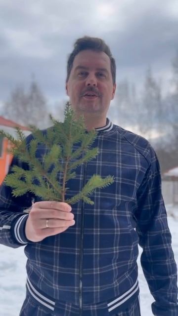 Полезные советы от Лизы Зуевой на 8 марта )))