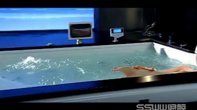 SSWW Whale