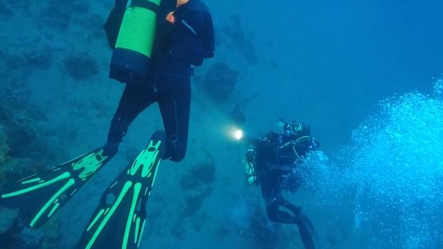 Mola-mola Fréjus Oct 2017