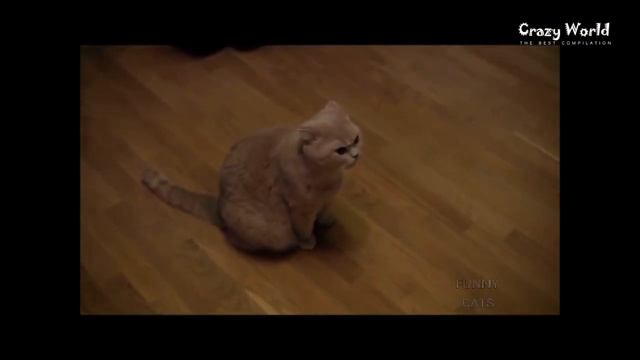 Мое измененное видео