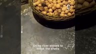 how to get pure oil from walnut