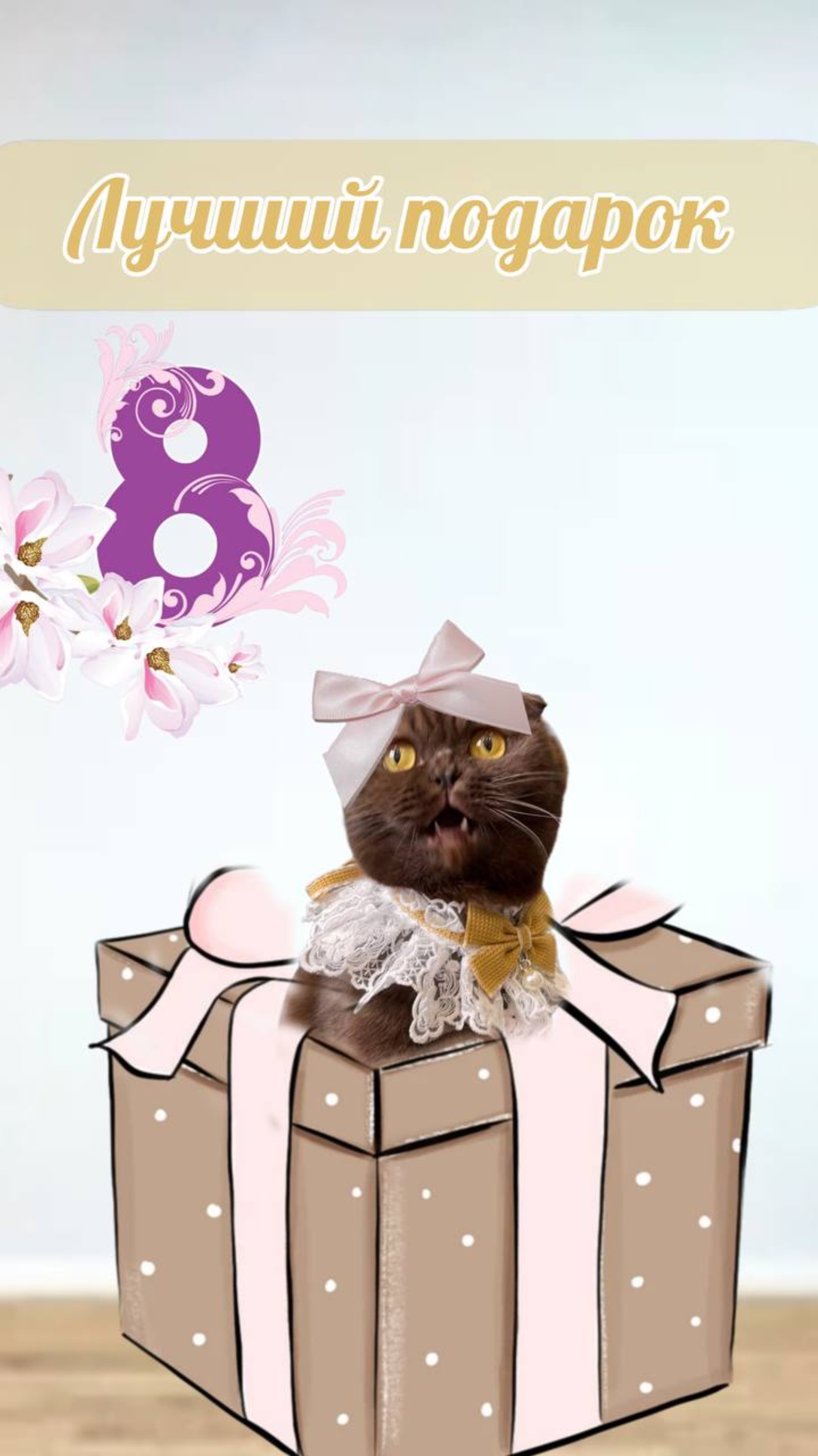 Лучший подарок на 8 марта #8марта #питомцы