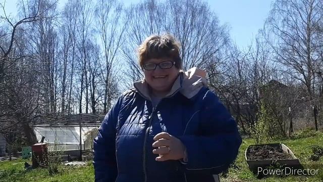 Ох уж эти грядки...