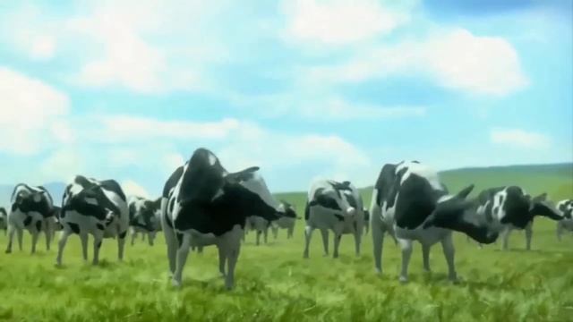 Cow dance| Mr 3X | Aankh maare | #cow #aankhmareydance #song #baby #monkey