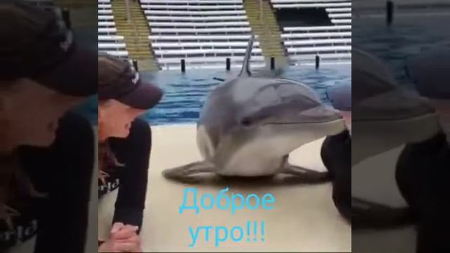 доброй ночи