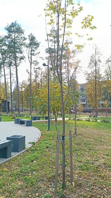 Жуковка. Парк. 10 октября 2024.
