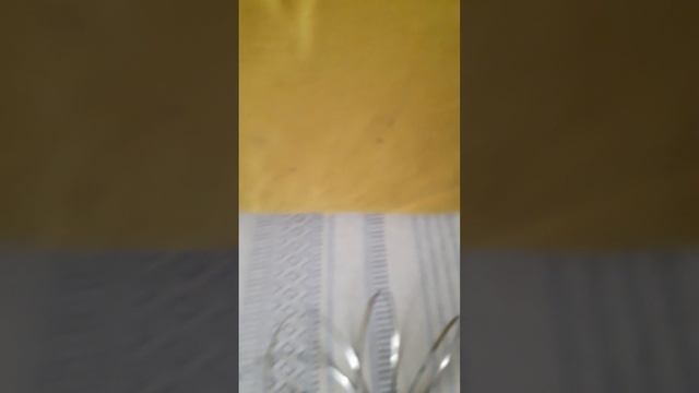 венские вафли вместе с Настей краш