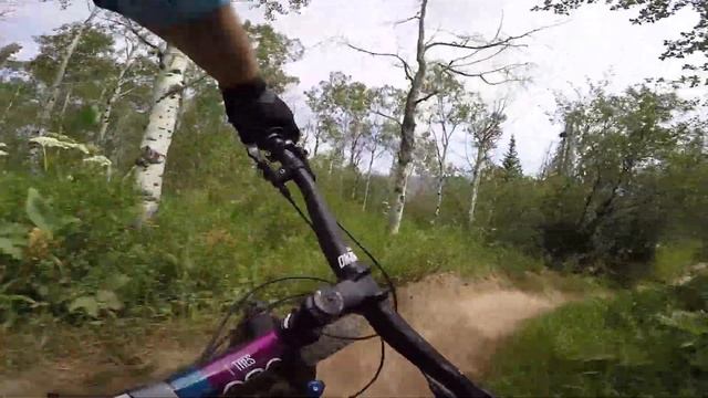 Bike Check- 2018 Diamondback El Oso Tres