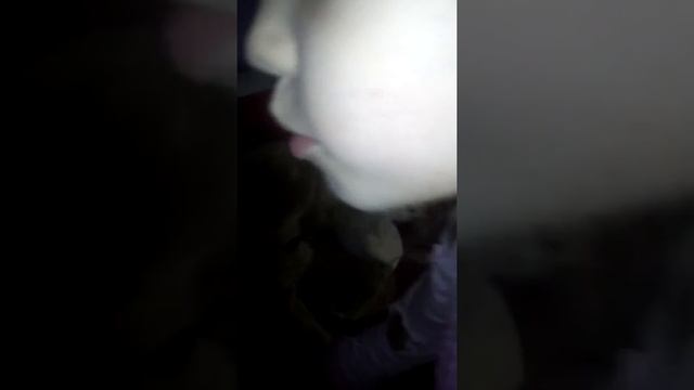 Канал медведей