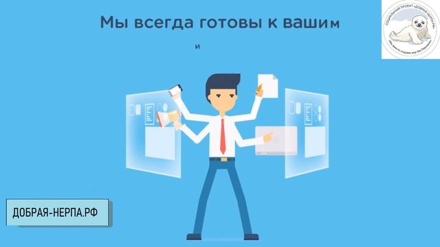 Видео визитка проекта Добрая-Нерпа (грант)