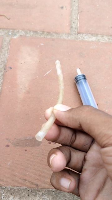 how to make hand feeding syringe tamil#pigeonforge #pigeonlove #palomas #karnapura #pigeonpose #fee
