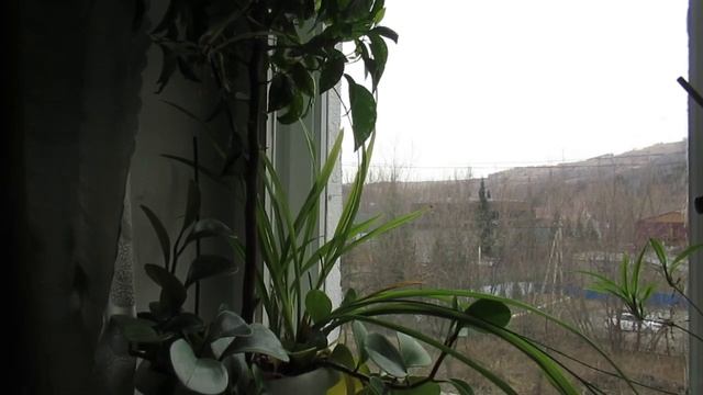 Костёр любви погас...