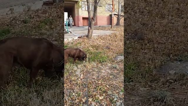 Мой самый лучший друг!