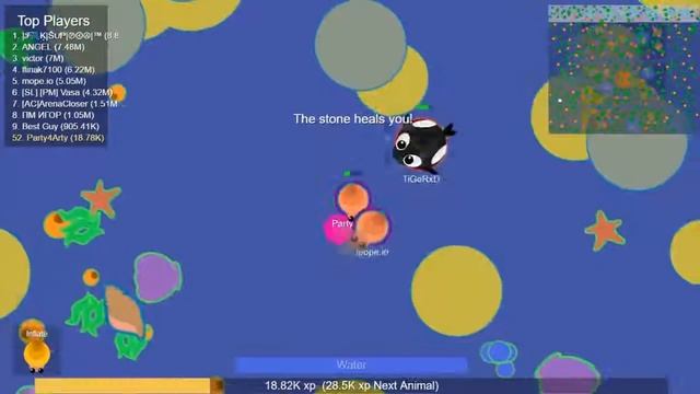 MOPE.IO УЛИТКА ПРЕВРАЩАЕТСЯ В РЫБУ ФУГУ?! | СБОРНИК МОМЕНТОВ