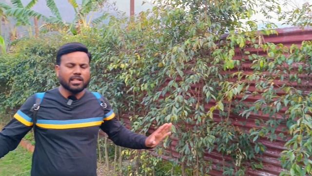 Camping In Shivpuri Rishikesh || Budget Camps Near Rishikesh || Wondrous Camps In Shivpuri