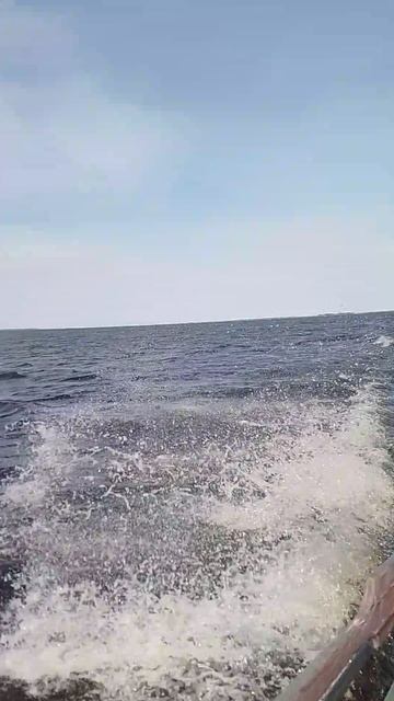 VID_20240630_160831