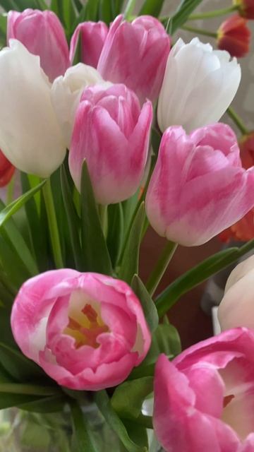 С праздником 🌸
Дорогие девушки, с первым весенним праздником! 🧡