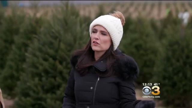 Campaign Seeks To Convince Americans To Buy Real Christmas Trees